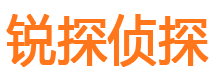 饶阳市私家侦探